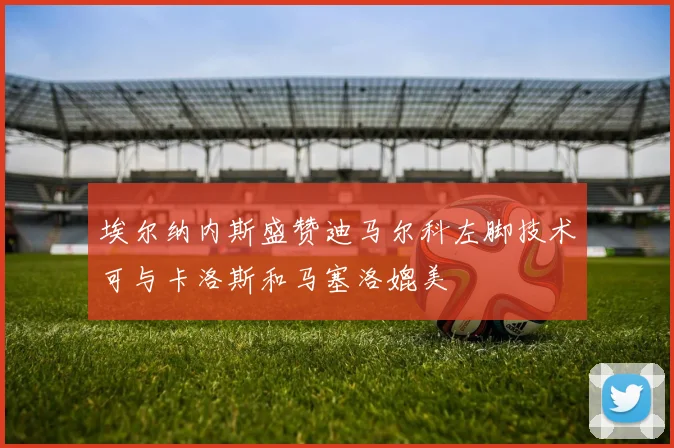 埃尔纳内斯盛赞迪马尔科左脚技术可与卡洛斯和马塞洛媲美