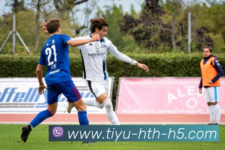 华体会体育品牌故事